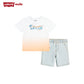 Levi's Boys 2-Piece Beach Logo T-Shirt & Shorts Set (Toddler)