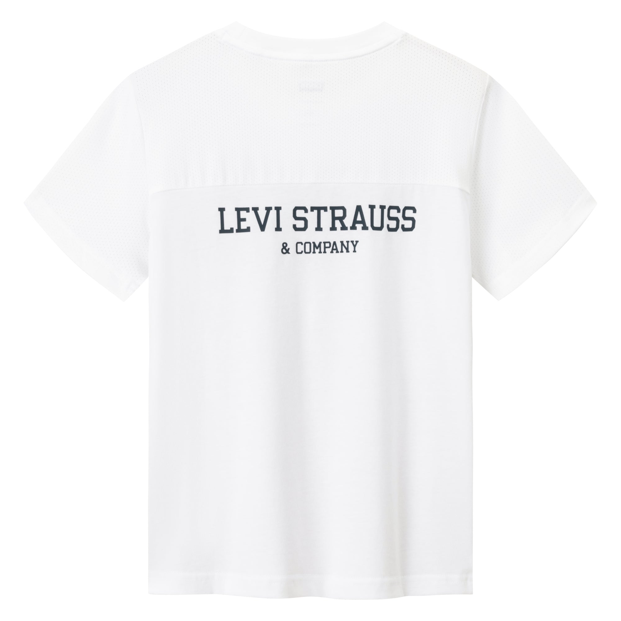 Levi's Boys LS & Co. Logo T-Shirt (Big Kids)