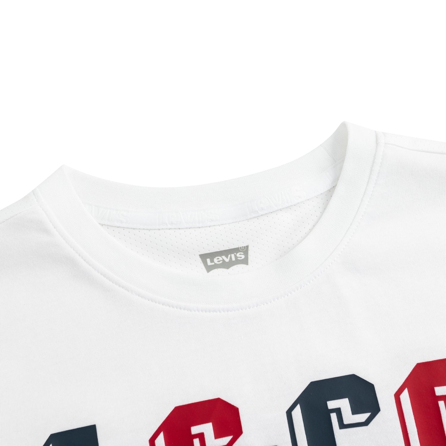 Levi's Boys LS & Co. Logo T-Shirt (Big Kids)