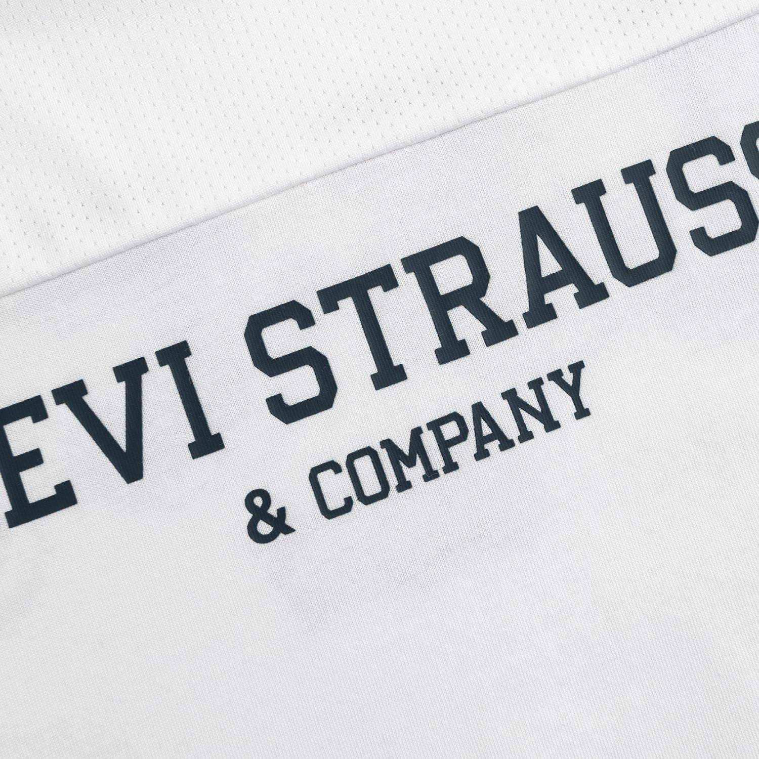 Levi's Boys LS & Co. Logo T-Shirt (Big Kids)