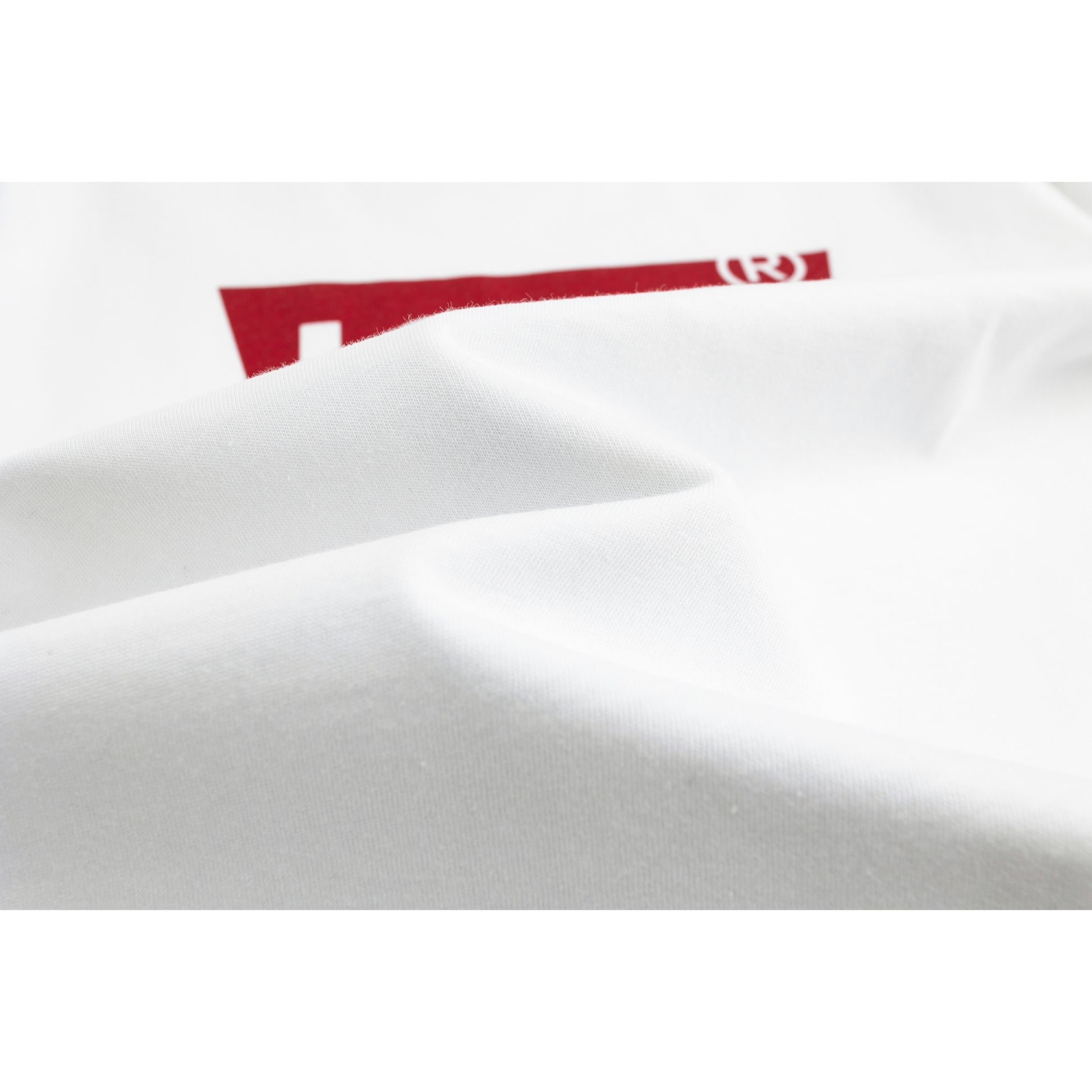 Levi's Batwing Logo T-Shirt (Big Kids)