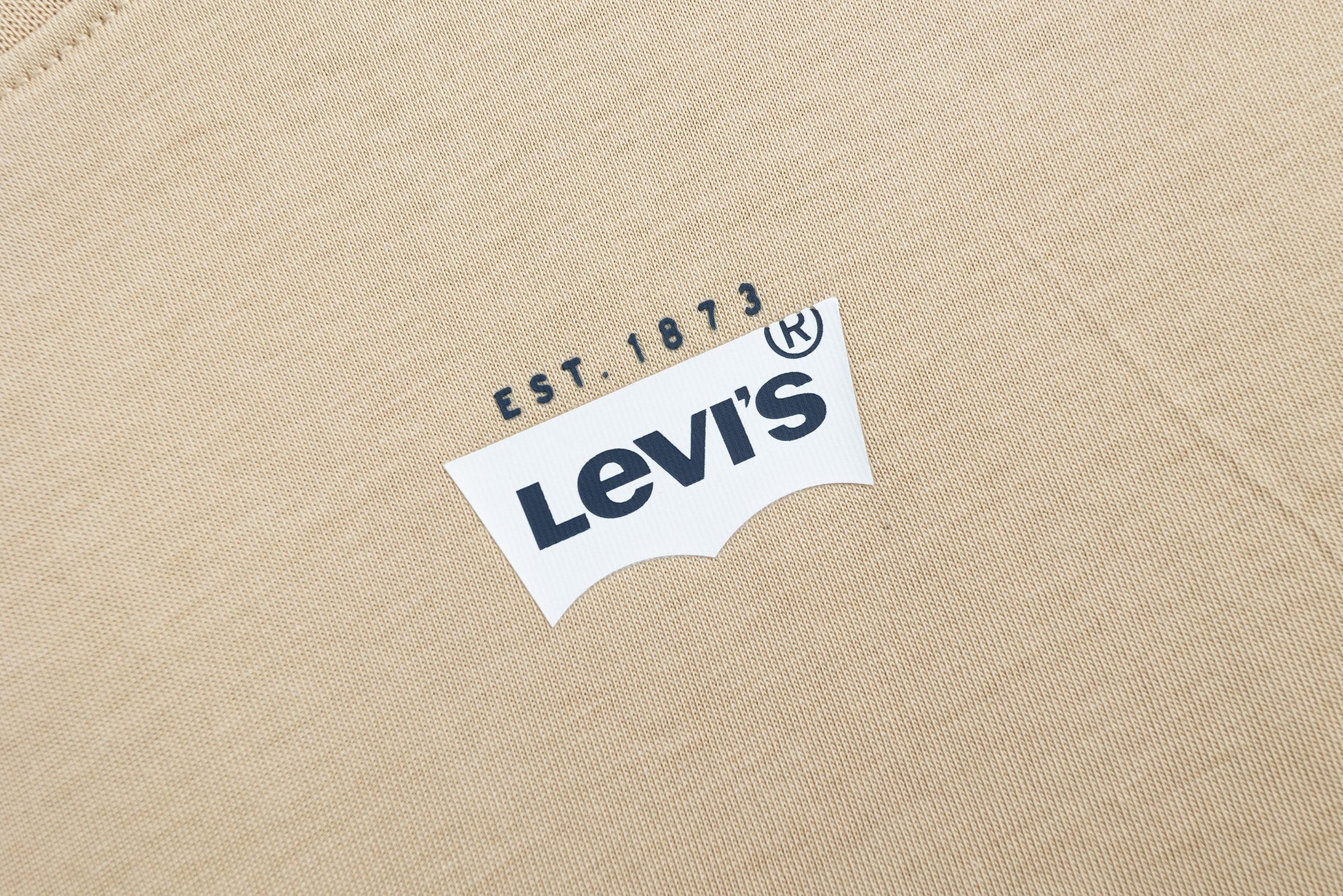 Levi's Boys California Trip T-Shirt (Little Kids)