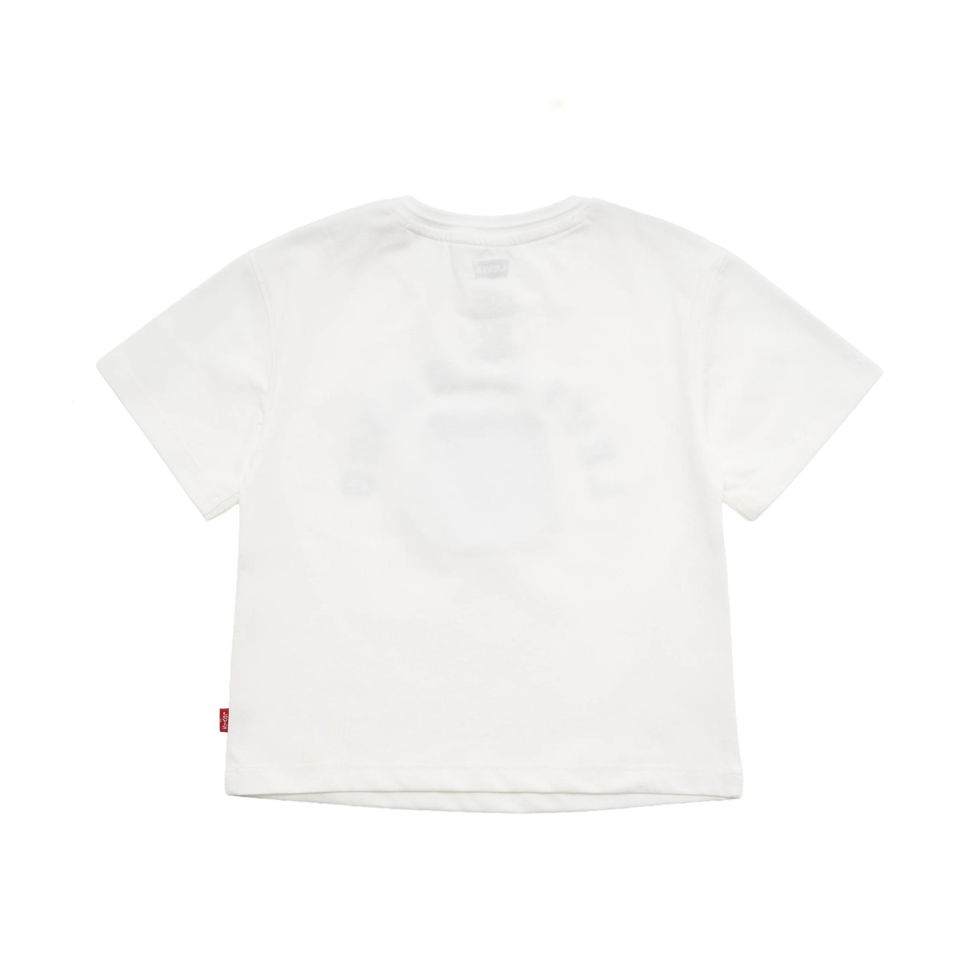 Levi's Boys Bearhug T-Shirt (Little Kids)