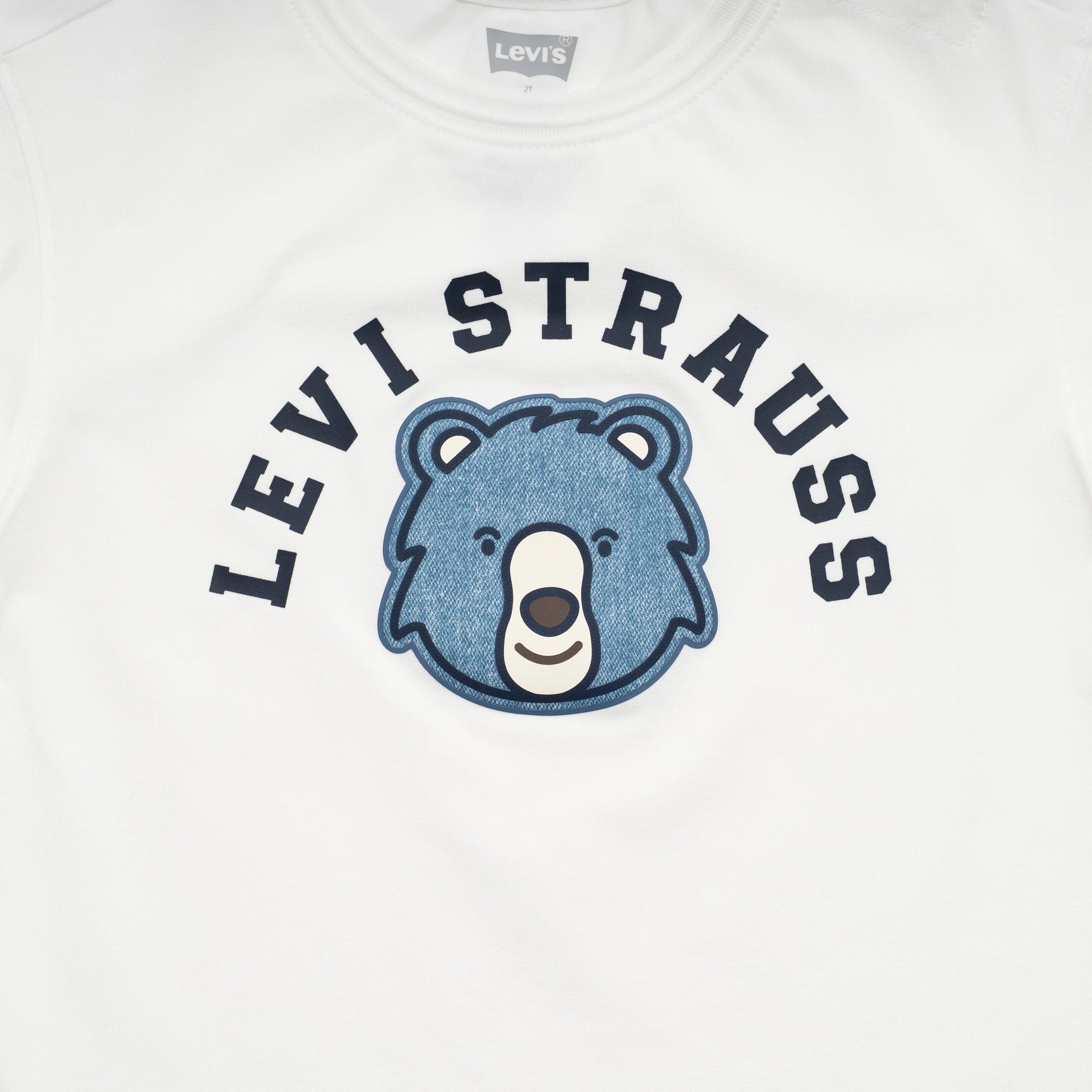 Levi's Boys Bearhug T-Shirt (Little Kids)