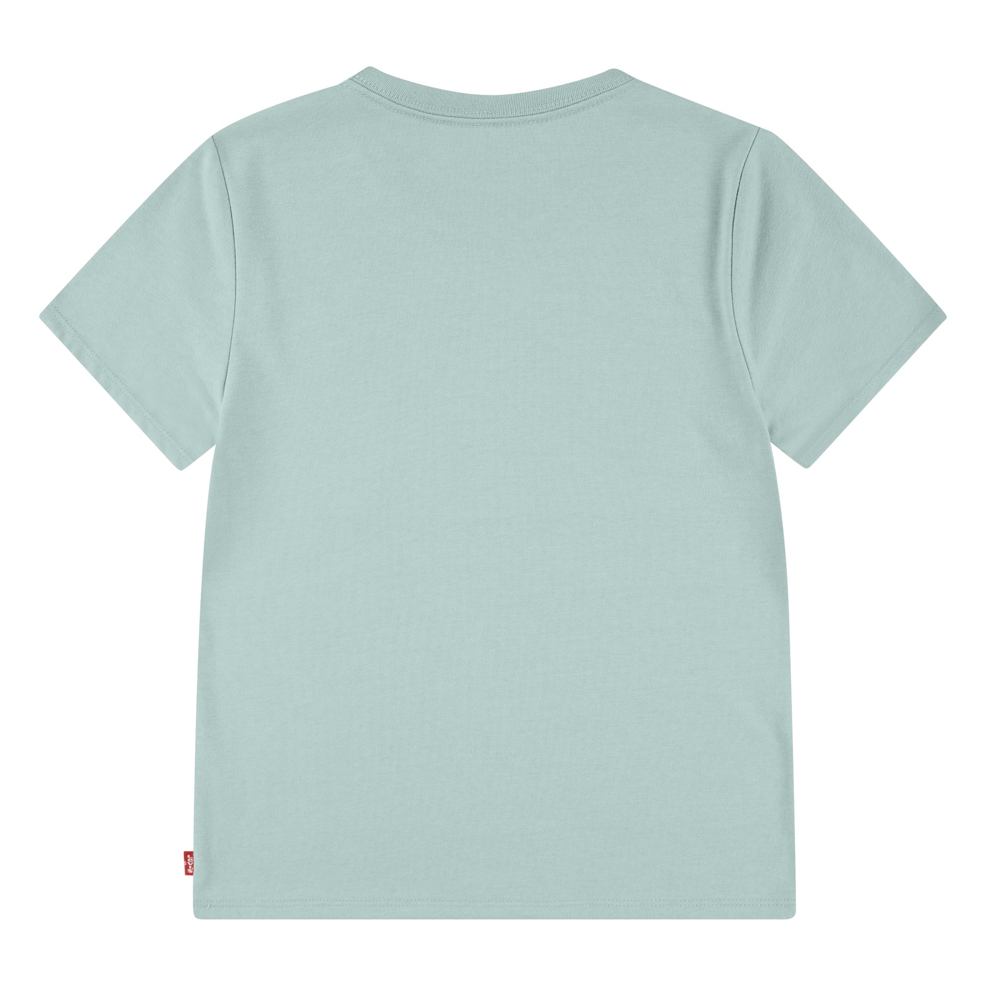 Levi's Girls Wildflowers Batwing T-Shirt (Big Kids)