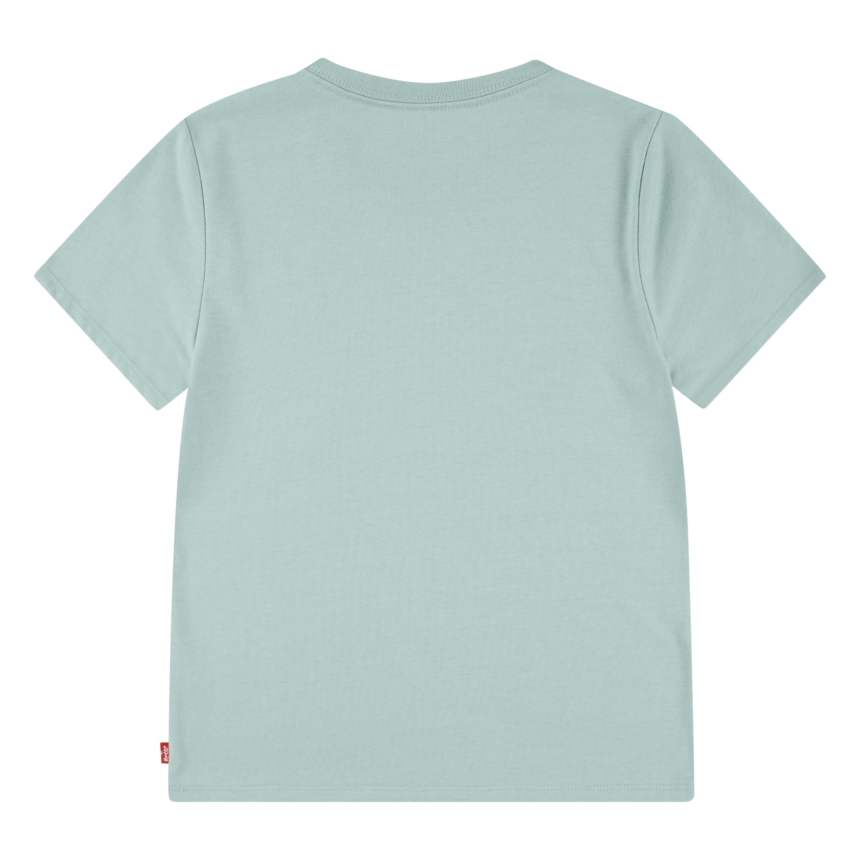 Levi's Girls Wildflowers Batwing T-Shirt (Big Kids)