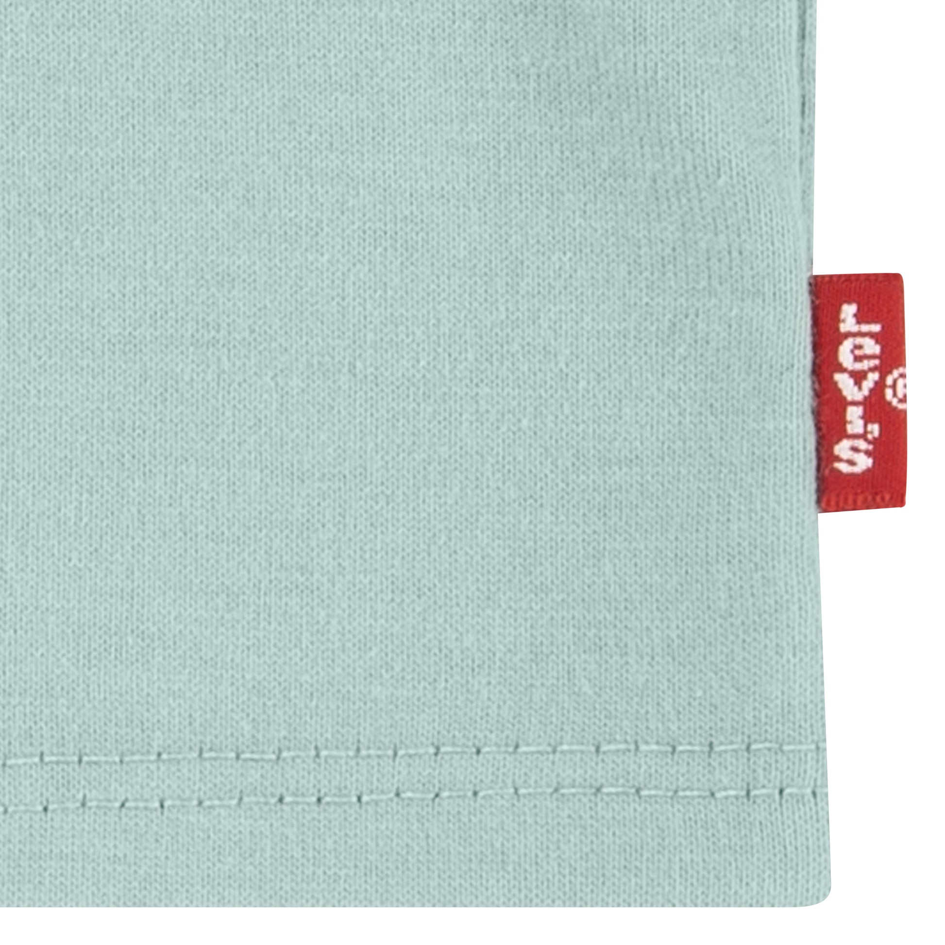 Levi's Girls Wildflowers Batwing T-Shirt (Big Kids)