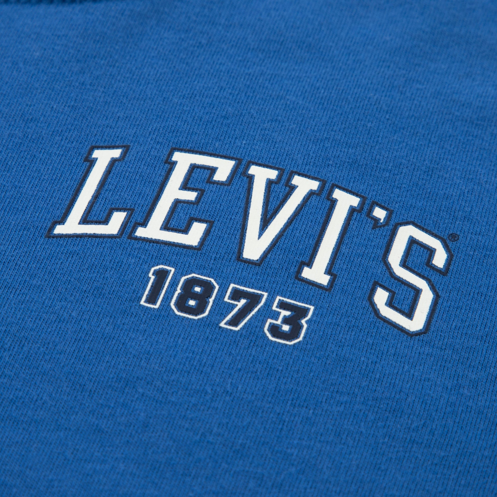 Levi's Boys Always Original T-Shirt (Little Kids)