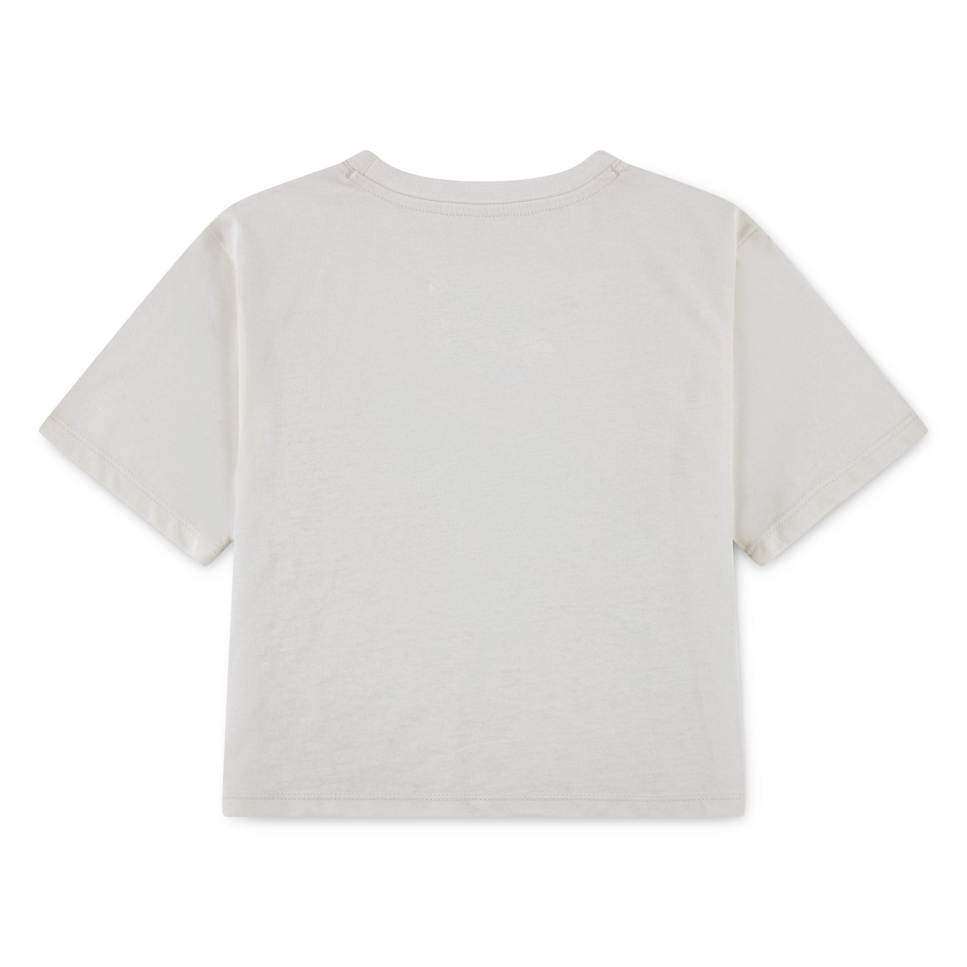 Nike Girls Wild Warmth Boxy T-Shirt (Little Kids)