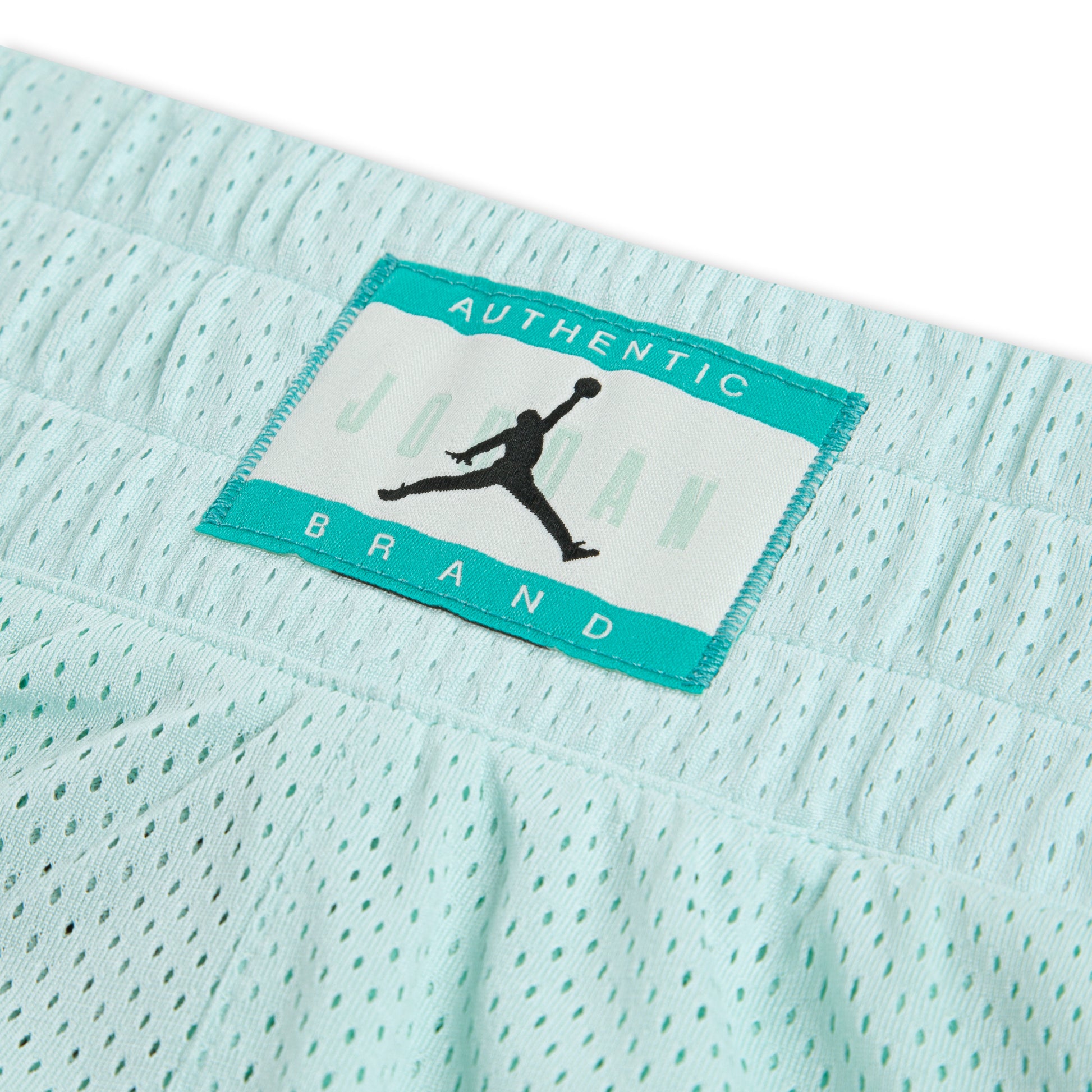 Jordan Girls Training Mesh Short (Big Kids)
