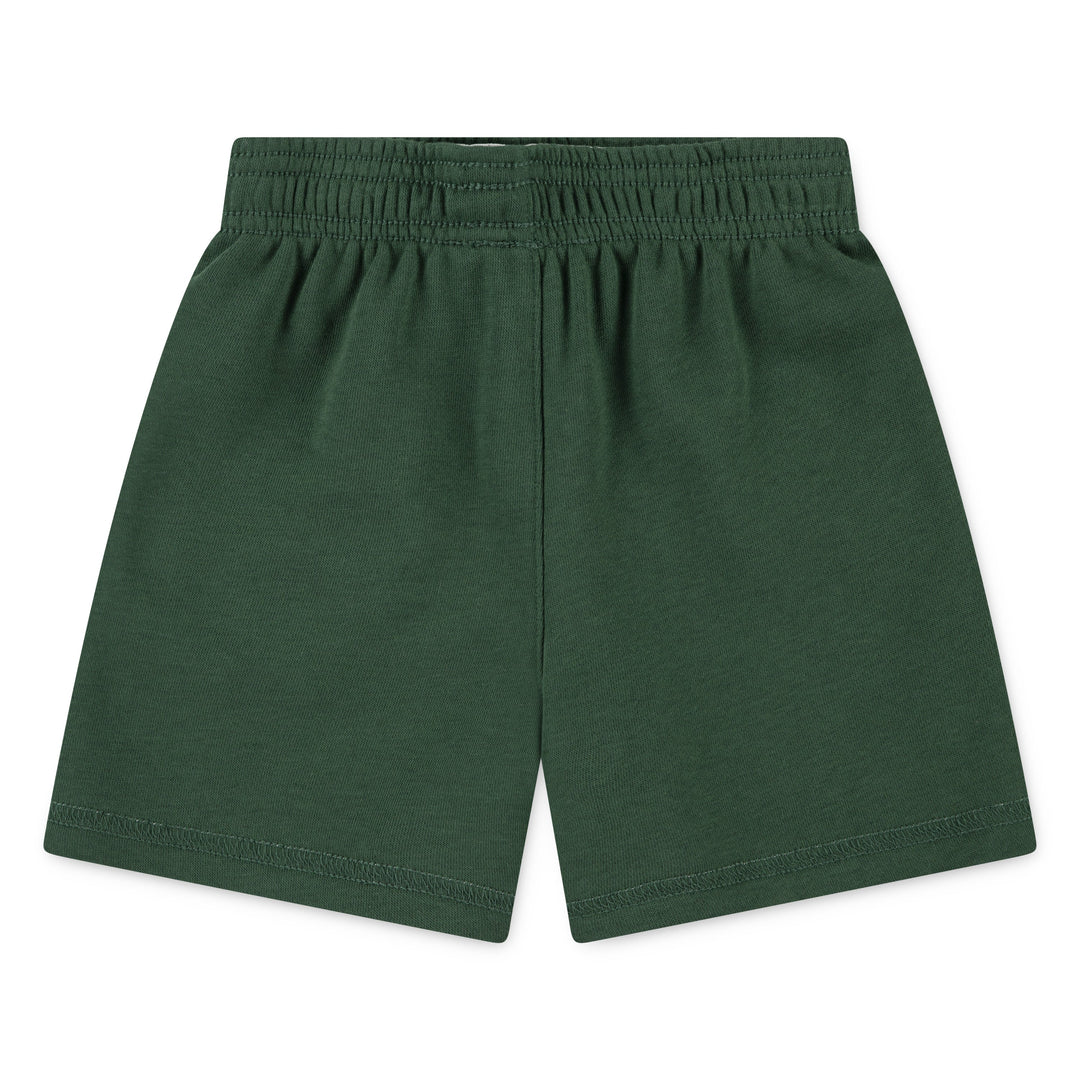 Nike Boys Sportswear P.E. Reversible Green Shorts (Toddlers)