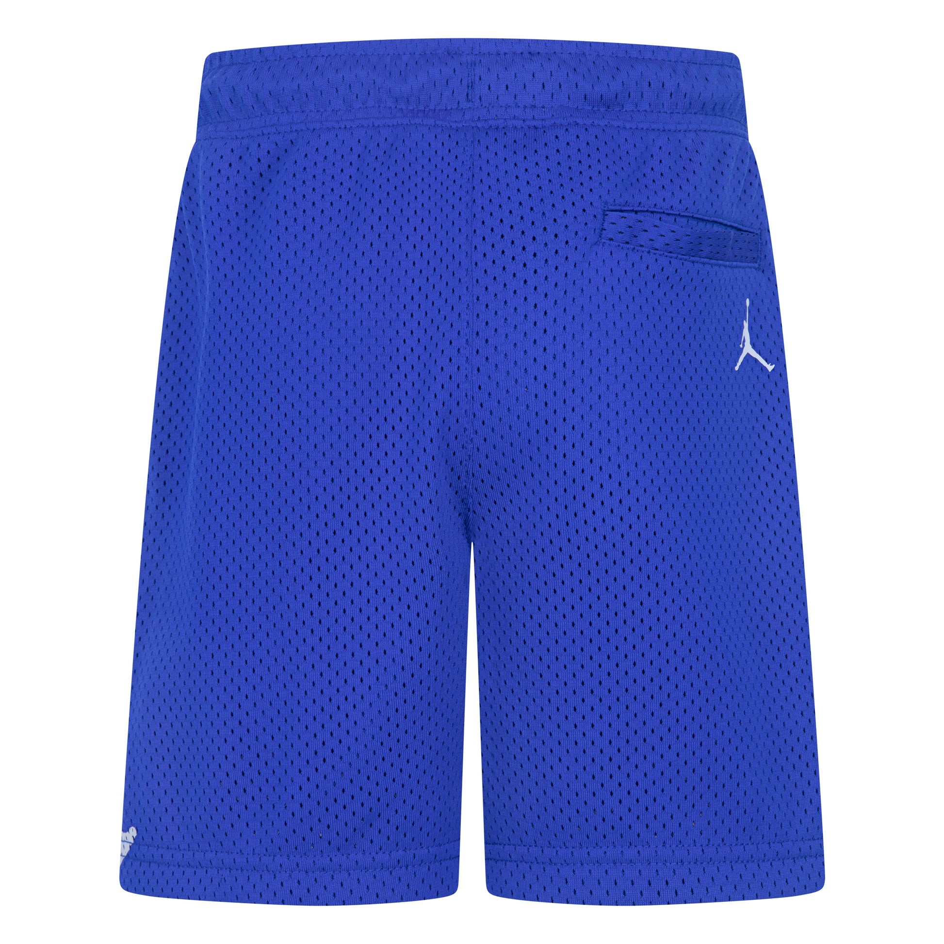 Jordan Boys 1984 Jumpman Mesh Shorts (Little Kids)