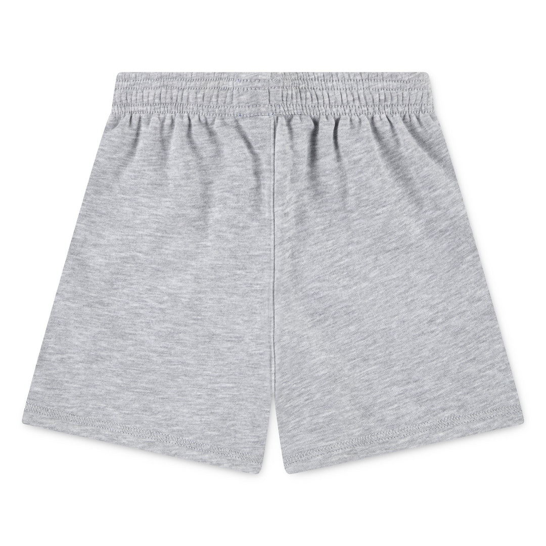Nike Boys Sportswear P.E. Reversible Grey Shorts (Little Kids)