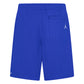 Jordan Boys 1984 Jumpman Mesh Shorts (Big Kids)