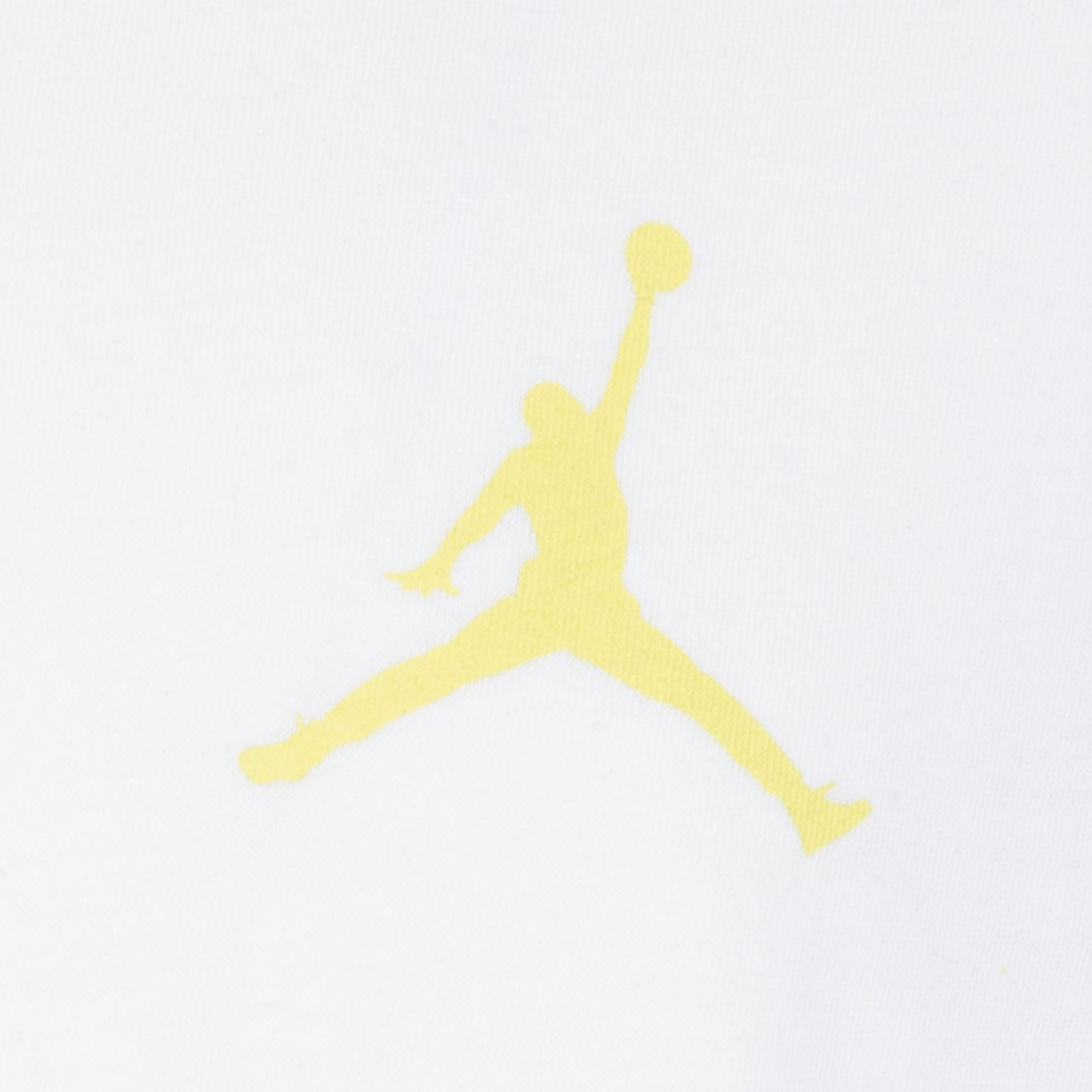 Jordan Girls Wrap Around T-Shirt (Big Kids)