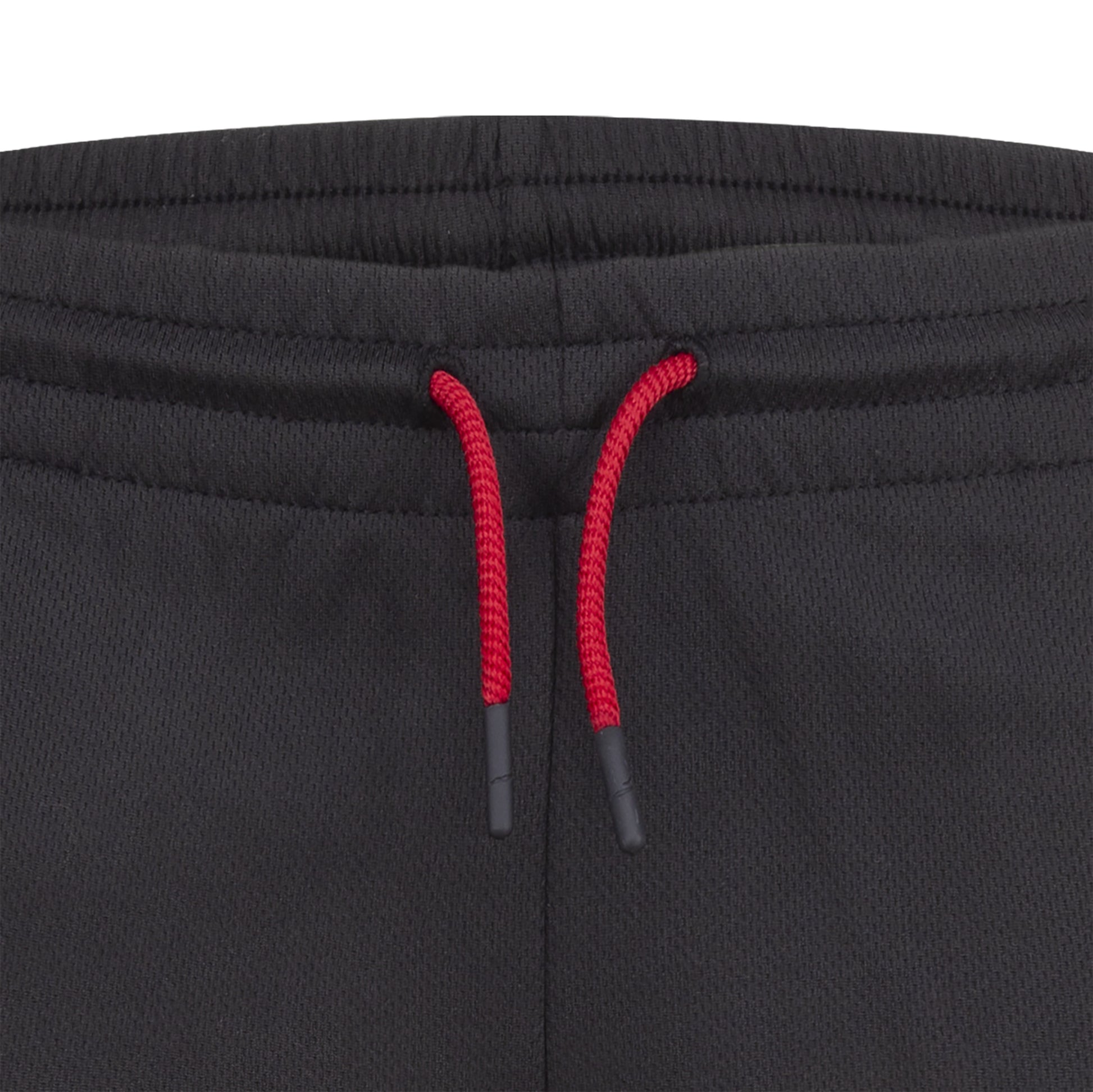 Jordan Boys Air Mesh Shorts (Big Kids)