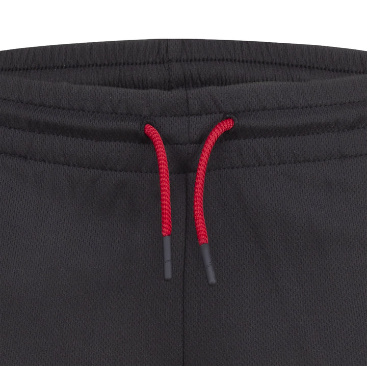 Jordan Boys Air Mesh Shorts (Big Kids)
