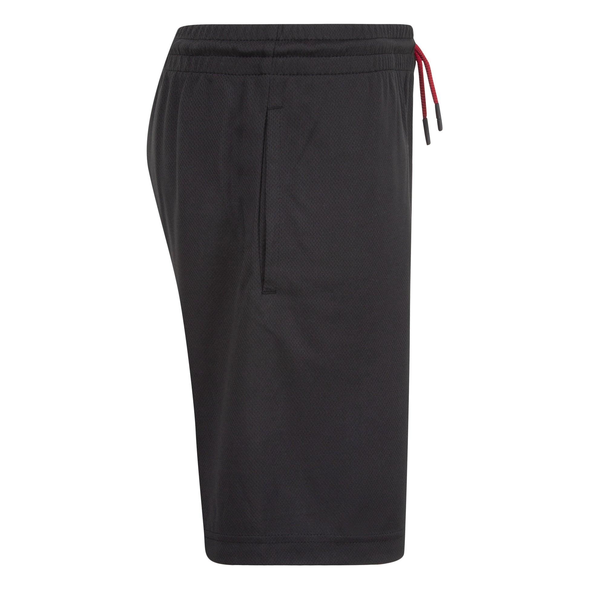 Jordan Boys Air Mesh Shorts (Big Kids)