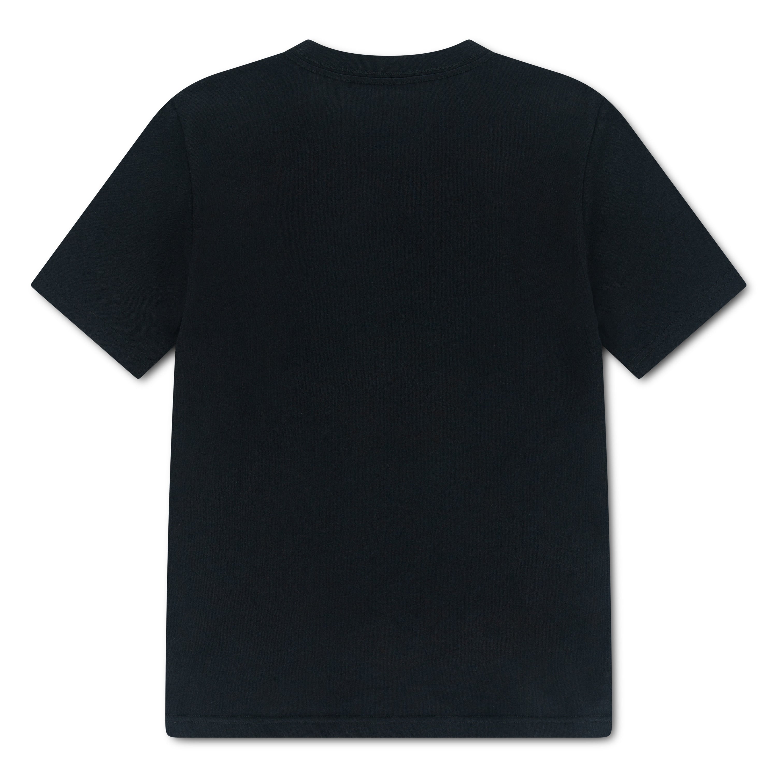 Jordan Boys Brand Secret T-Shirt (Big Kids)
