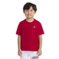 Jordan Boys Jumpman Air Embroidered T-Shirt (Little Kids)