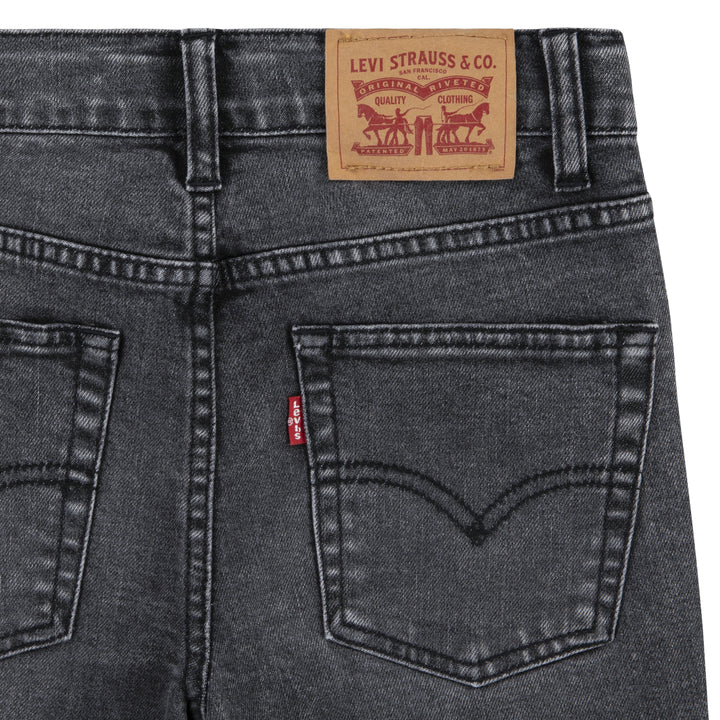 Levi's Boys 510 Skinny Non Performance Denim Jeans (Little Kids)