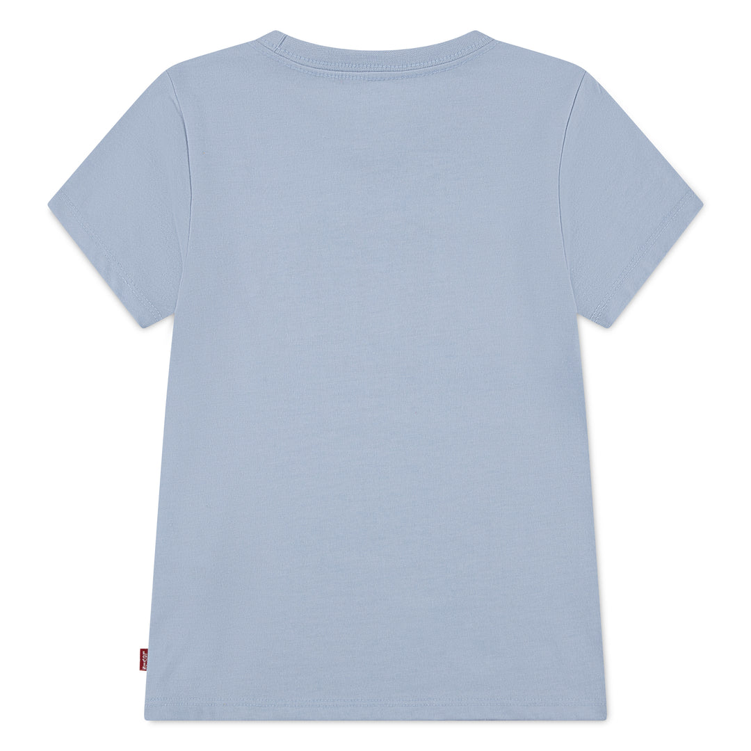 Levi's Short Sleeve Seasonal Graphic Tee (Little Kids)