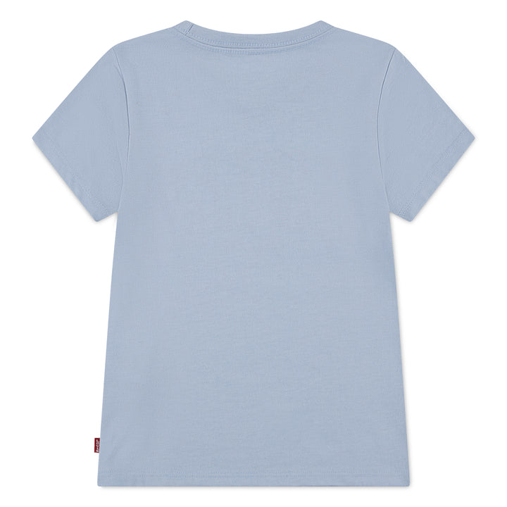 Levi's Short Sleeve Seasonal Graphic Tee (Little Kids)
