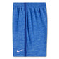 Nike Boys Dr-FIT Multi Shorts (Little Kids)