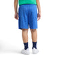 Nike Boys Dr-FIT Multi Shorts (Little Kids)