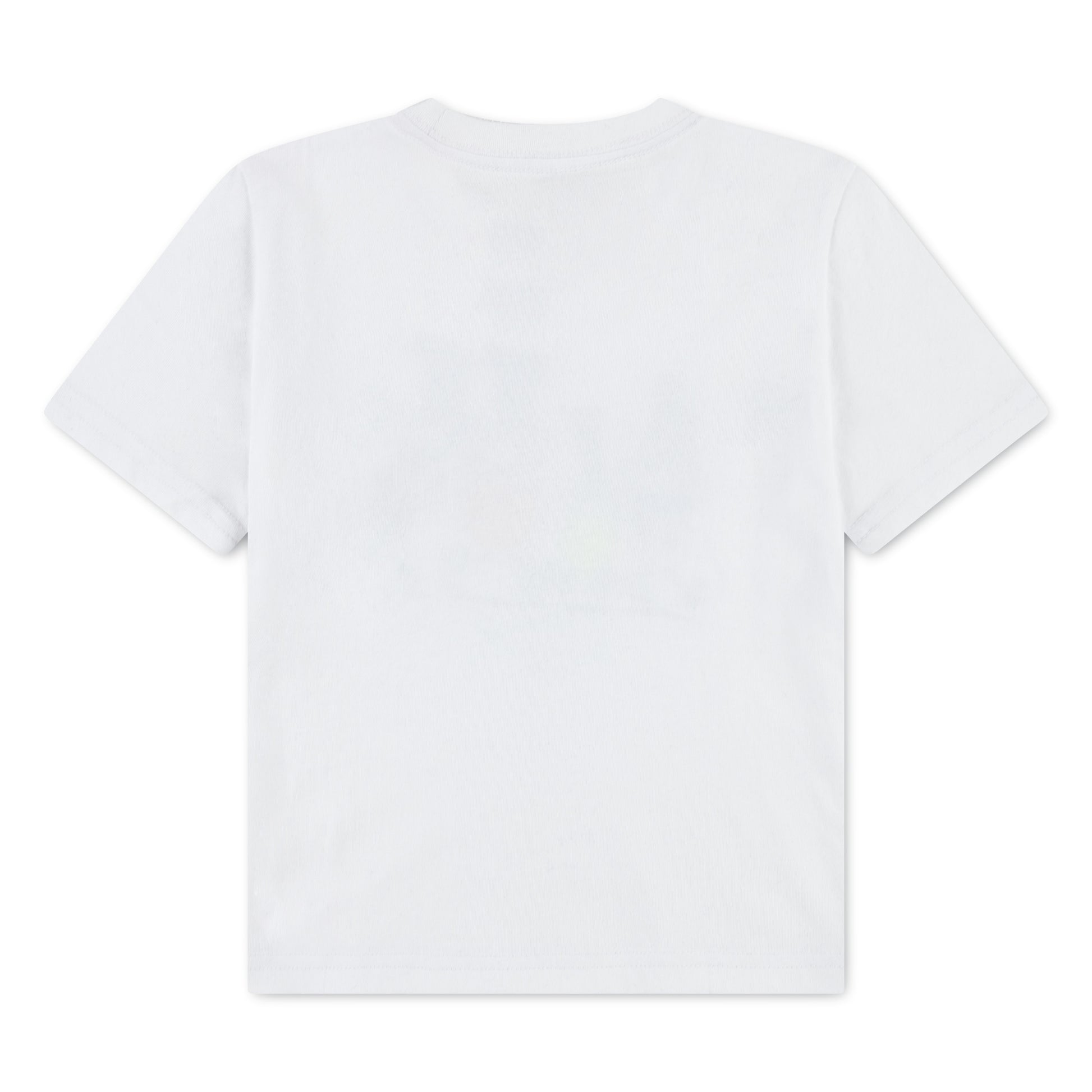 Nike Boys Multi Sportsball T-Shirt (Toddler)
